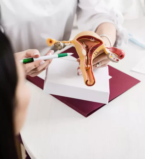 Gynecological Disorders
